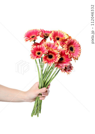 PNG, pink flowers, isolated on white background. 112046332