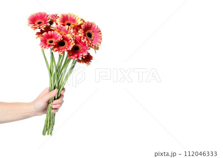 PNG, pink flowers, isolated on white background. PNG, pink flowers, isolated on white background. 112046333