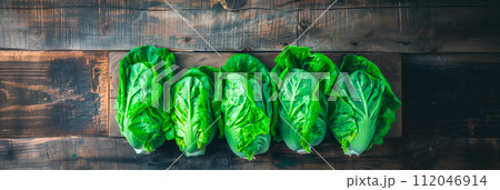 Cos Romaine lettuce isolated on white background. Fresh green salad leaves from garden 112046914