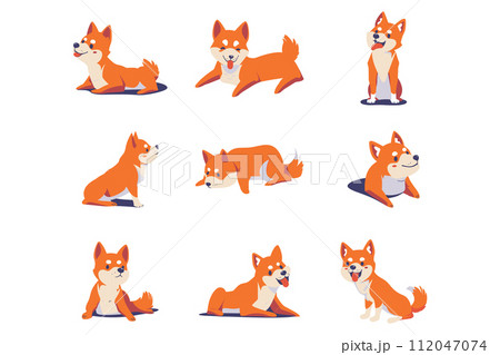shiba inu dog collection flat style on background 112047074