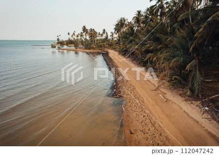 Orange beach and coconut trees in the evening 112047242