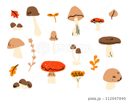 Mushroom set of vector illustrations isolated on white. White mushroom, chanterelles, honey agaric, mushrooms, fly agarics. Cartoon style. 112047840