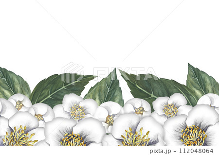 A frame with jasmine flowers. A banner with fragrant white spring flowers. Hand-drawn watercolor illustration. For packaging, greeting and invitation cards and labels. For banners, flyers. A frame with jasmine flowers. A banner with fragrant white spring flowers. Hand-drawn watercolor illustration. For packaging, greeting and invitation cards and labels. For banners, flyers. 112048064