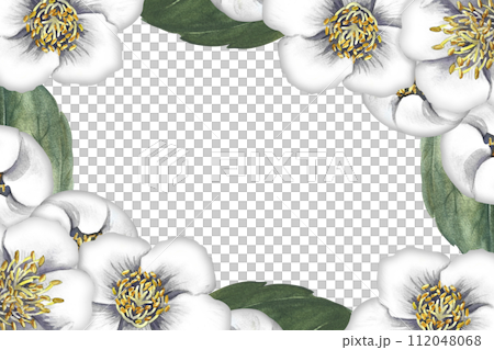 A frame with jasmine flowers. Fragrant white spring flowers. A hand-drawn watercolor illustration. For packaging, greeting and invitation cards and labels. For banners, flyers. 112048068