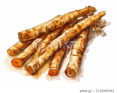 ゴボウ(スケッチ画) ゴボウ(スケッチ画) 112048593