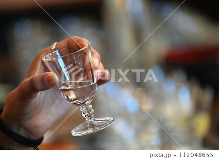 飲み会でグラスを手に乾杯する人たち 飲み会でグラスを手に乾杯する人たち 112048655