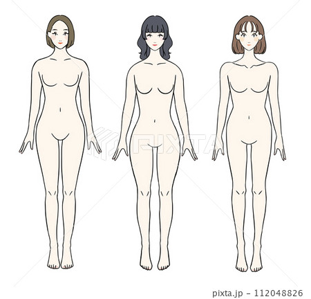 正面から見た骨格別の女性 裸ver 正面から見た骨格別の女性 裸ver 112048826