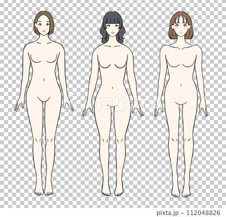 正面から見た骨格別の女性 裸ver 正面から見た骨格別の女性 裸ver 112048826