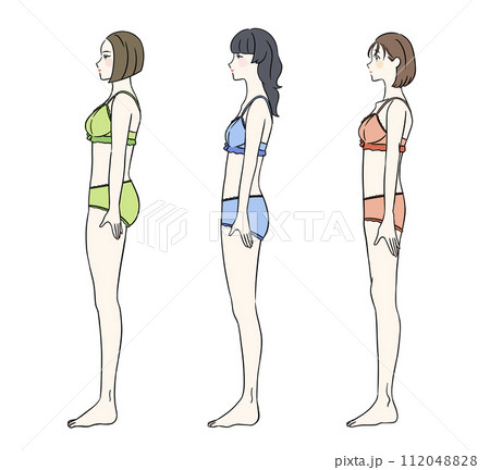 横から見た骨格別の女性 下着ver 横から見た骨格別の女性 下着ver 112048828