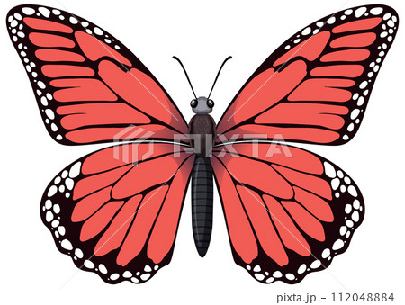 Vibrant Red Butterfly Vector Illustration Vibrant Red Butterfly Vector Illustration 112048884