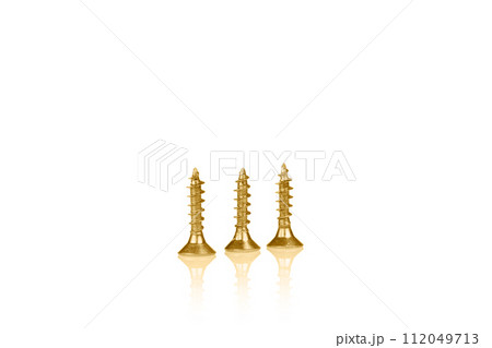 macro screw of golden color on a white background macro screw of golden color on a white background 112049713