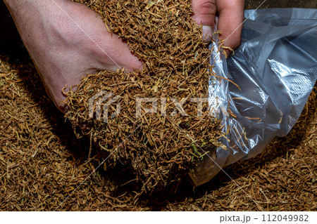 Cut tobacco and tobacco leaves Cut tobacco and tobacco leaves 112049982
