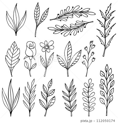Set of hand drawn floral branches and flourishes. Floral text dividers. Design element for greeting card, t shirt, poster. Vector illustration 112050174