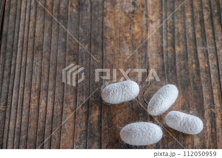 繭【まゆ】 112050959