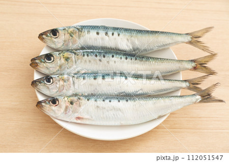 マイワシ 112051547