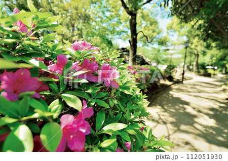 小松川境川親水公園 小松川境川親水公園 112051930