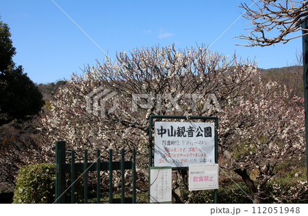 中山観音公園の梅林 112051948
