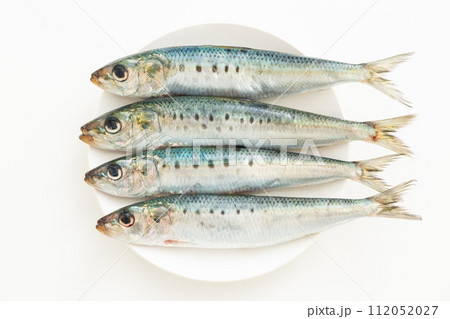 マイワシ 112052027