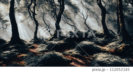 A mysterious forest . Sun rays piercing through...のイラスト素材 [112052185 ...