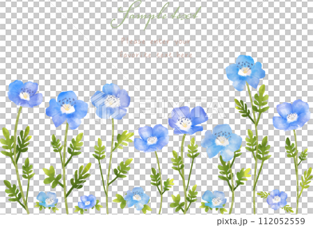 ネモフィラのフレーム ネモフィラのフレーム 112052559