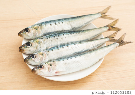 マイワシ 112053102