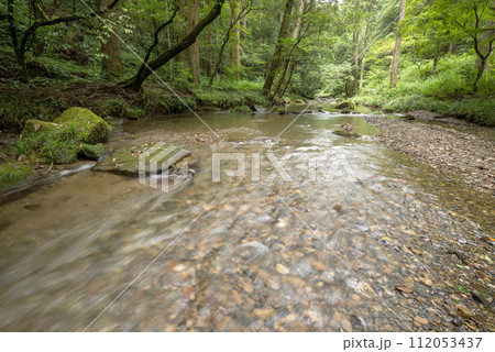 緑の森をバックに流れる沢山の小石が底にある浅い川 緑の森をバックに流れる沢山の小石が底にある浅い川 112053437