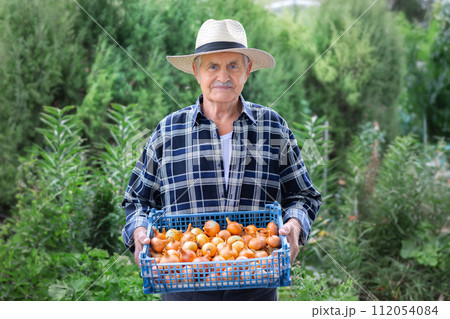 Senior farmer holding fresh onions in garden. 112054084