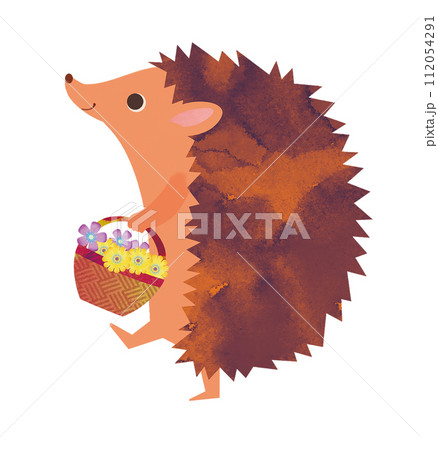 かわいいハリネズミ 112054291