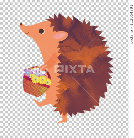 可愛的Harinezumi 可愛的Harinezumi 112054291