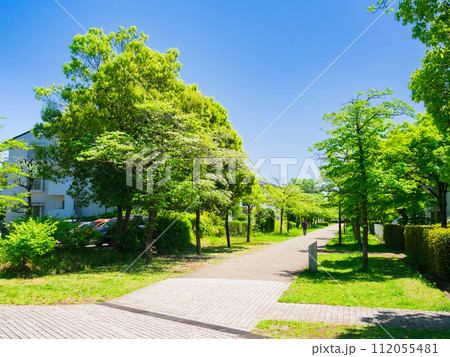 郊外の住宅地 新緑の生活道路 郊外の住宅地 新緑の生活道路 112055481