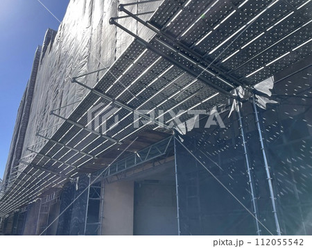 次世代足場の朝顔 112055542