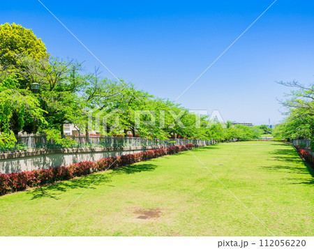 郊外の住宅地 新緑の公園 郊外の住宅地 新緑の公園 112056220