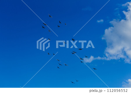 青空 青い空 ブルースカイ 112056552