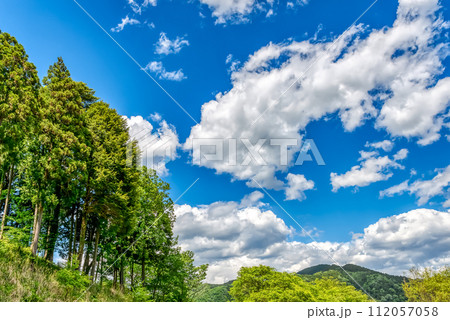 春の宮ヶ瀬ダム湖 神奈川県 春の宮ヶ瀬ダム湖 神奈川県 112057058