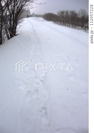 石狩川付近の堤防から映した冬の旭川《北海道・旭川》 112057228