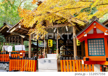 京都市右京区嵯峨野々宮町の野宮神社(縁結びの神様) 拝殿と紅葉 京都市右京区嵯峨野々宮町の野宮神社(縁結びの神様) 拝殿と紅葉 112057350