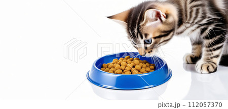 Kitten Eating from Bowl. Young Cat Eats Food, Licking Tongue. Feline Feeding Isolated White Solid Background. Tabby Cat Eating Meat. Front View. Pet Food Banner. Domestic Animals Meal. Space for text Kitten Eating from Bowl. Young Cat Eats Food, Licking Tongue. Feline Feeding Isolated White Solid Background. Tabby Cat Eating Meat. Front View. Pet Food Banner. Domestic Animals Meal. Space for text 112057370