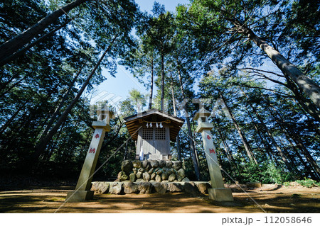 高麗神社の鳥居と竹林 112058646