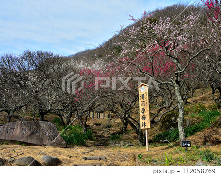 【山の標識】神奈川県・湯河原梅林(2021年) 【山の標識】神奈川県・湯河原梅林(2021年) 112058769