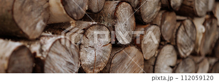 Banner cross section of tree trunks, timber background. Banner cross section of tree trunks, timber background. 112059120