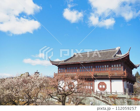 瀬戸内海が見える満開の梅公園の景色 瀬戸内海が見える満開の梅公園の景色 112059257