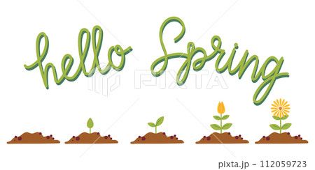 Flower life cycle. Growth stages from seed to flowering. Hello spring lettering. Flat colorful vector illustration for card, invitation, banner, stickers, poster. Flower life cycle. Growth stages from seed to flowering. Hello spring lettering. Flat colorful vector illustration for card, invitation, banner, stickers, poster. 112059723