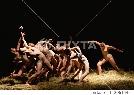 Group of modern ballet dancers. Contemporary art. Young flexible athletic men and women. 112061645