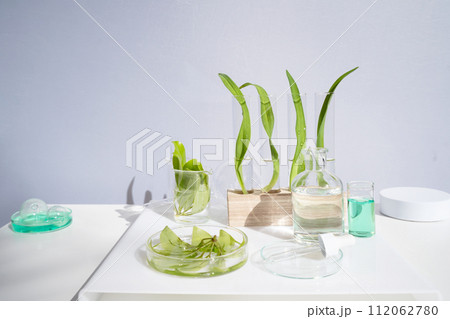 Science and nature concept Science and nature concept 112062780