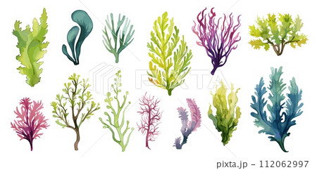 AI-generated content. Algae and seaweeds set. Watercolor seaweed, underwater plants isolated collection. Decorative sea elements, plant for aquarium, vector clipart 112062997