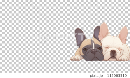 french bulldog illustration 112063510