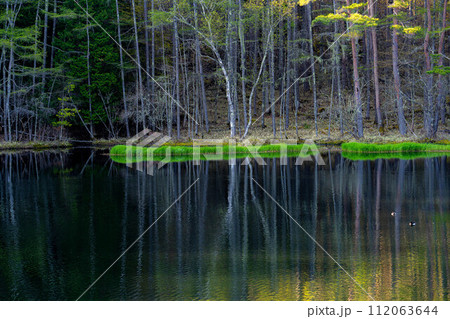 【新緑素材】初夏の御射鹿池【長野県】 【新緑素材】初夏の御射鹿池【長野県】 112063644