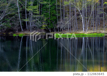 【新緑素材】初夏の御射鹿池【長野県】 112063645