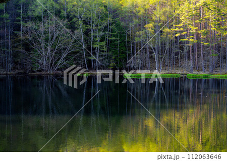 【新緑素材】初夏の御射鹿池【長野県】 112063646