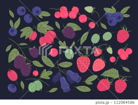 Ripe berries. Juicy forest berries, strawberry, raspberry, red currant, blueberry and gooseberry edible berries flat vector illustration set. Fresh berries on dark background Ripe berries. Juicy forest berries, strawberry, raspberry, red currant, blueberry and gooseberry edible berries flat vector illustration set. Fresh berries on dark background 112064586